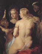 Peter Paul Rubens Venus at the Mirror (MK01) Spain oil painting reproduction